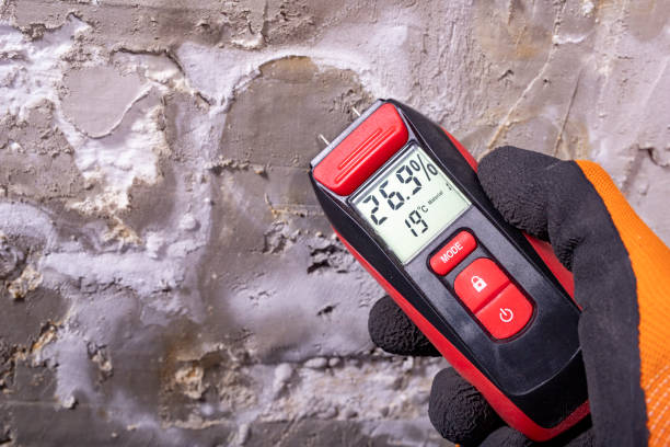Best Mold Testing and Inspection Services in Middlebush, NJ